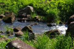 IMGP0540