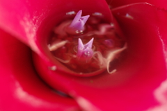 IMGP2459