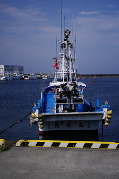 IMGP4741