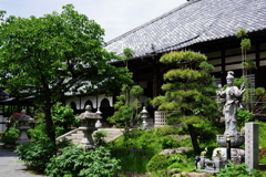 IMGP3854