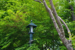 IMGP0316