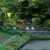 新緑と美しい花が織りなす絶景 