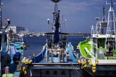 IMGP4721