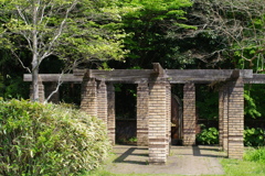 IMGP0374