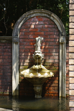 IMGP0394