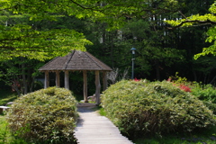 IMGP0443