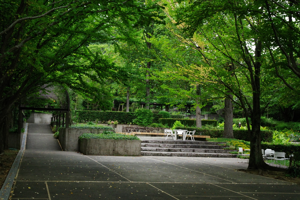 新緑と美しい花が織りなす絶景 