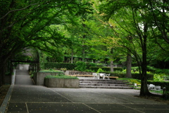 新緑と美しい花が織りなす絶景 