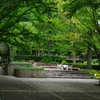 新緑と美しい花が織りなす絶景 