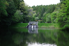 IMGP0712