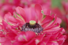 IMGP7851