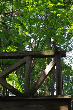 IMGP0409