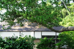 IMGP4968