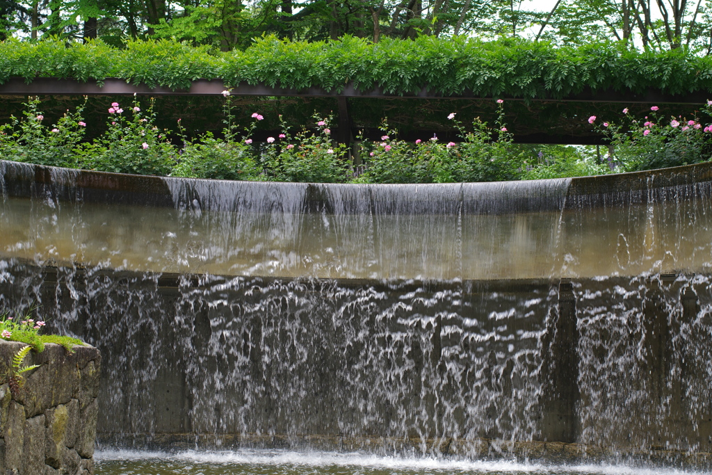 タムキューテスト風景