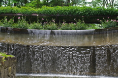 タムキューテスト風景