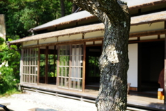 IMGP4980