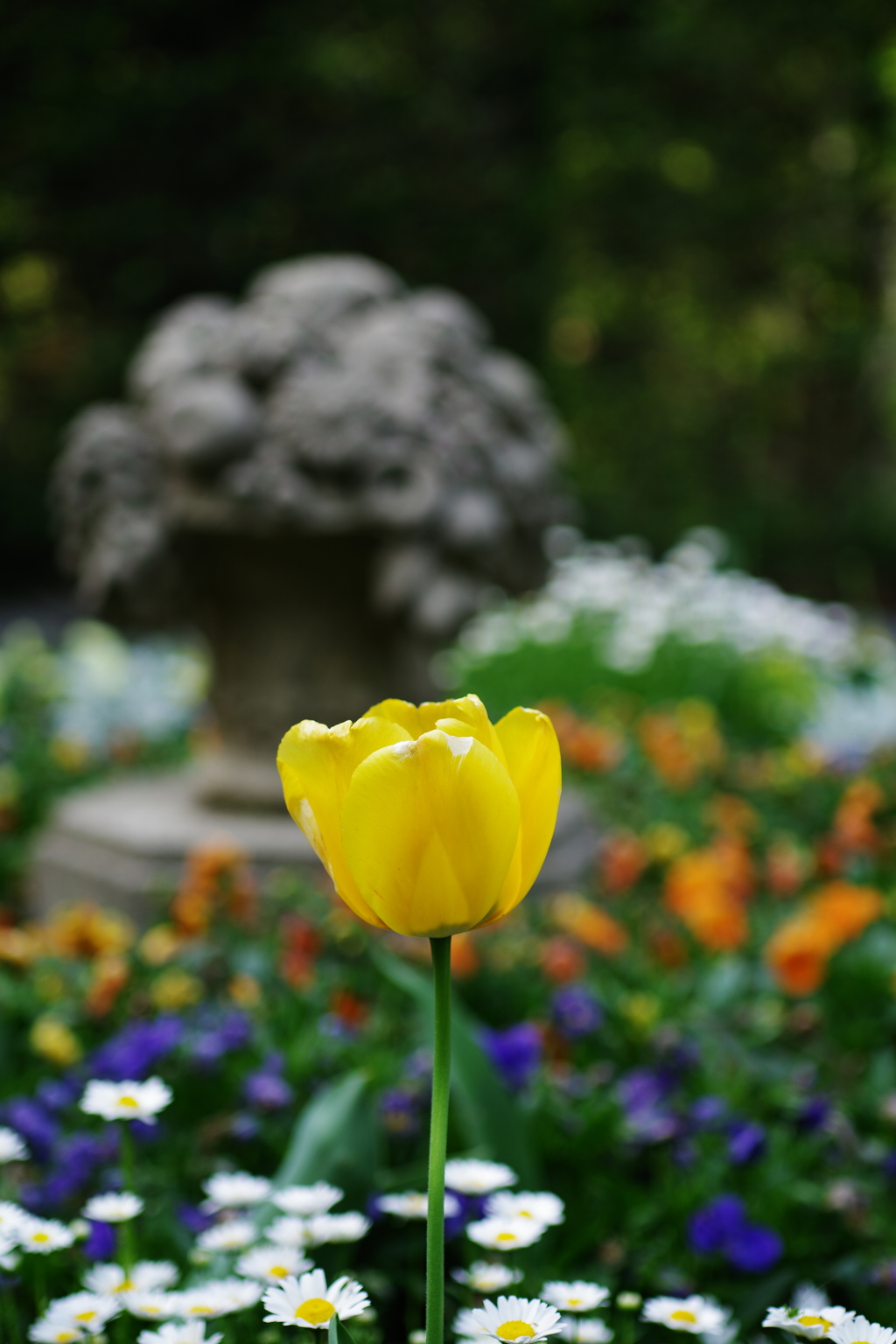 IMGP0700