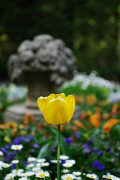 IMGP0700