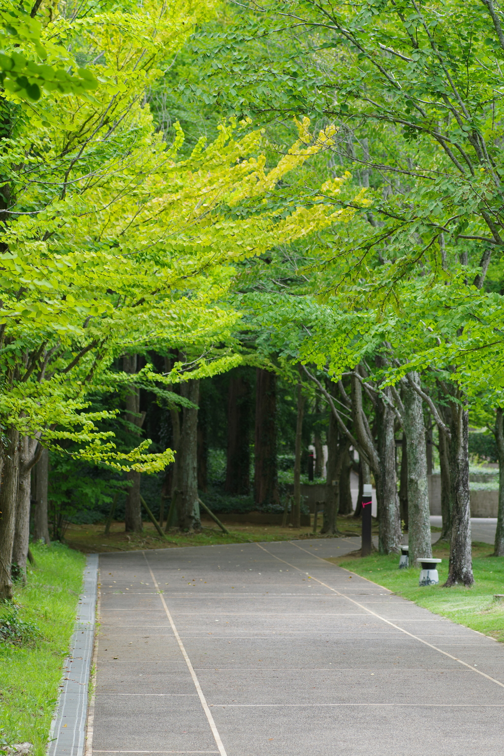 タムキュー風景