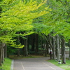 タムキュー風景
