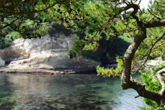 IMGP5026