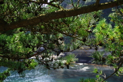 IMGP5134