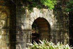 IMGP8994