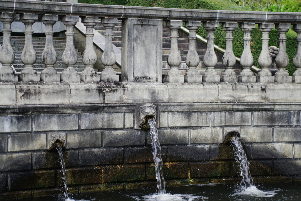 IMGP0745