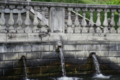 IMGP0745