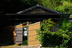 IMGP4896