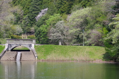 IMGP8739