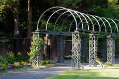 IMGP0666