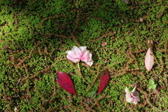 IMGP1397