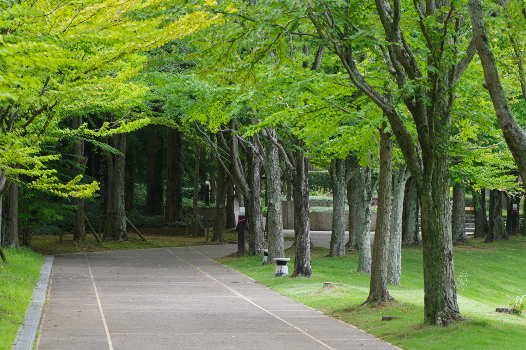 タムキュー風景