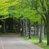 タムキュー風景