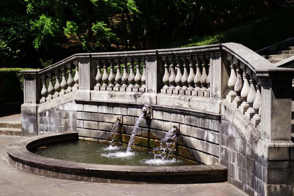 IMGP0757