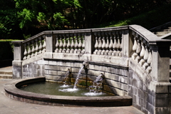 IMGP0757