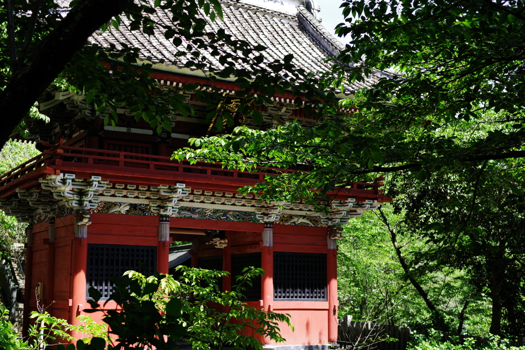 IMGP4019