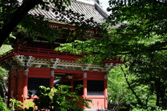 IMGP4019