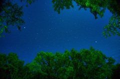 埼玉県秩父市でほぼ真上を見上げた星たち。