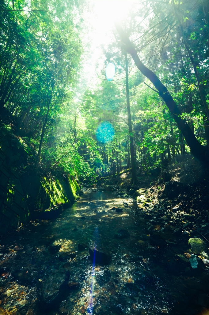 川遊び