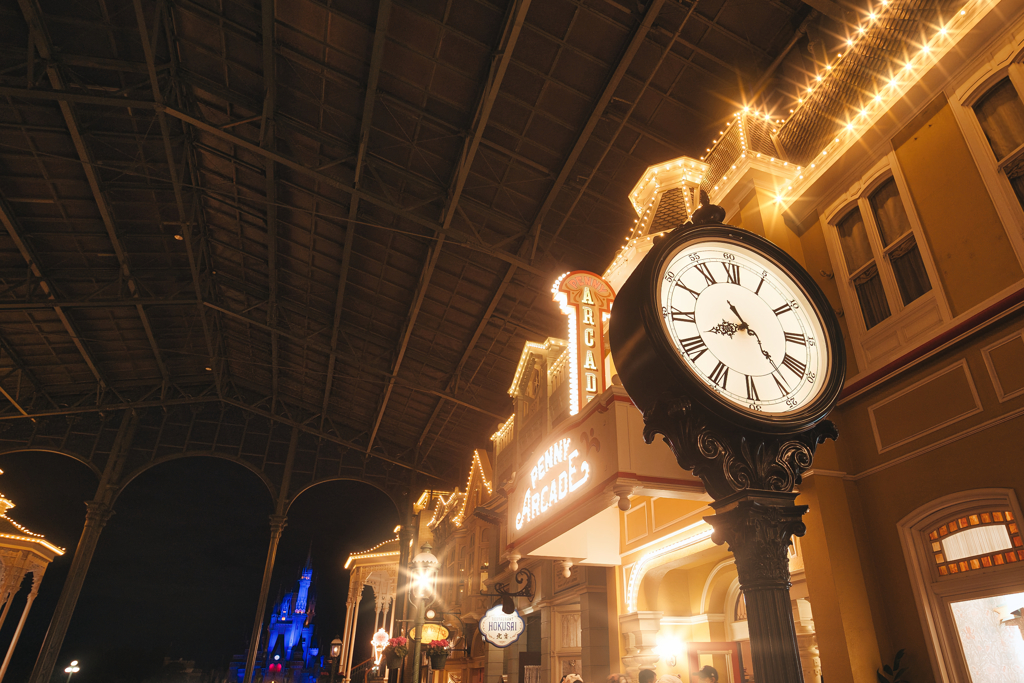 初めましてディズニーランド