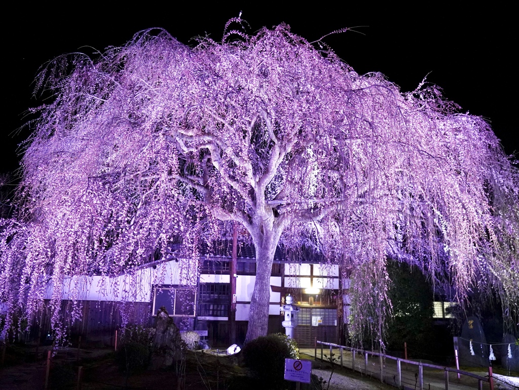 夜は妖艶に