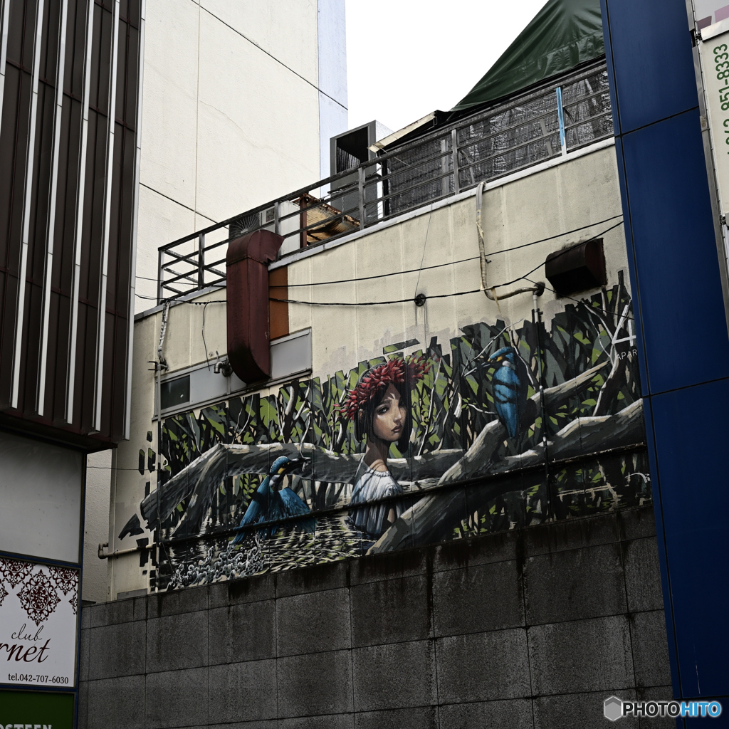 【写真展 Maze Q4CY24】見返り美人