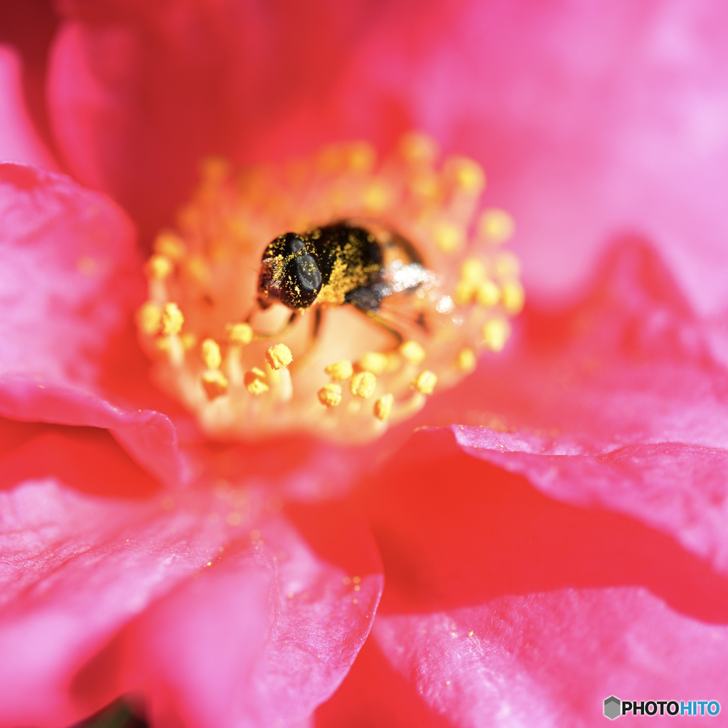 【写真展 Maze Q4CY24】持ちつ持たれつ