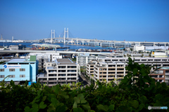 港の見える丘公園からの眺め