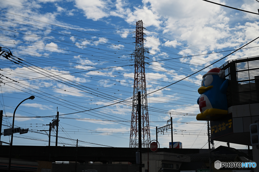 Electric Wires
