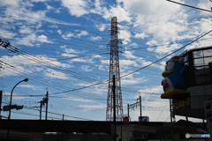 Electric Wires