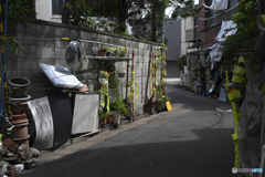 生活道路