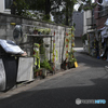 生活道路